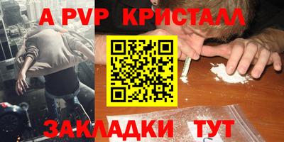 крисы Новокубанск
