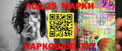 крисы Новокубанск