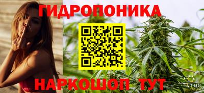 крисы Новокубанск