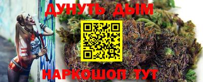 шишки Новозыбков