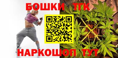 крисы Новокубанск