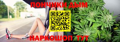 крисы Новокубанск
