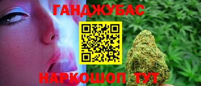 крисы Новокубанск