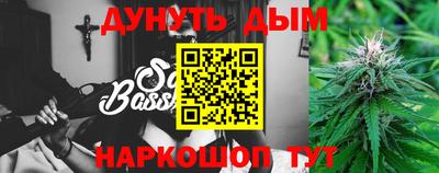 шишки Новозыбков