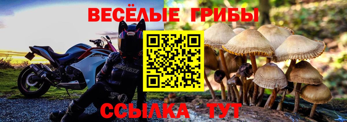 Псилоцибиновые грибы мицелий Сегежа